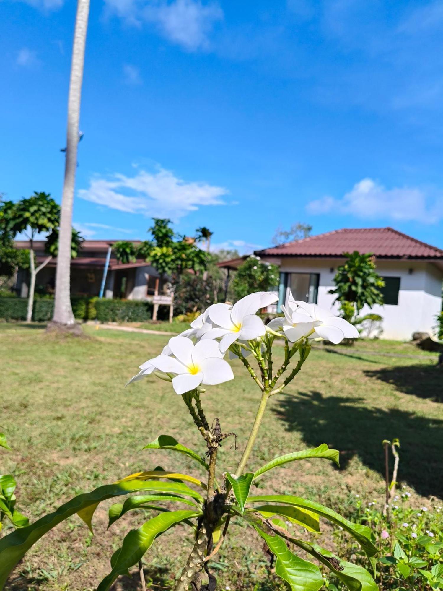 The Lodge At Koh Kood Ko Kut 外观 照片